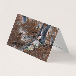 Tarjeta "Raíces" Árboles enrollados, Agujas de pino, Suelo