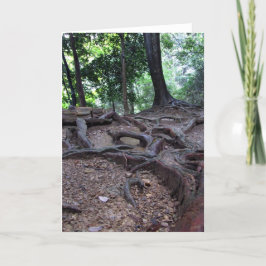 Tarjeta Raíces del árbol en Mt. Kurama