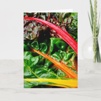Tarjeta Rainbow Chard