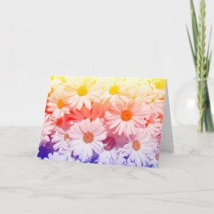 Tarjeta Rainbow Daisies