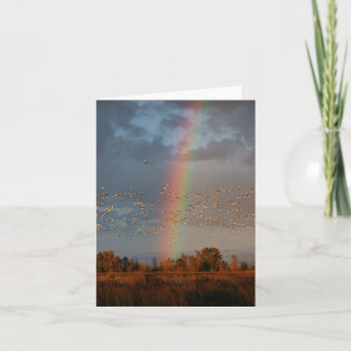 Tarjeta Rainbow & Geese Card