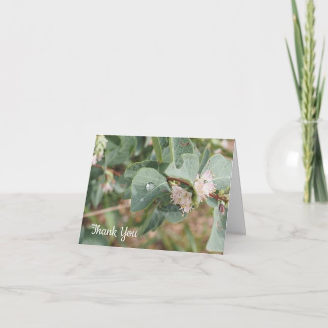 Tarjeta Raindrops and Leaves Folded Thank You Card (Anverso)