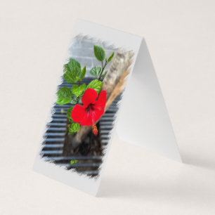 Tarjeta Raíz de árbol hibiscus