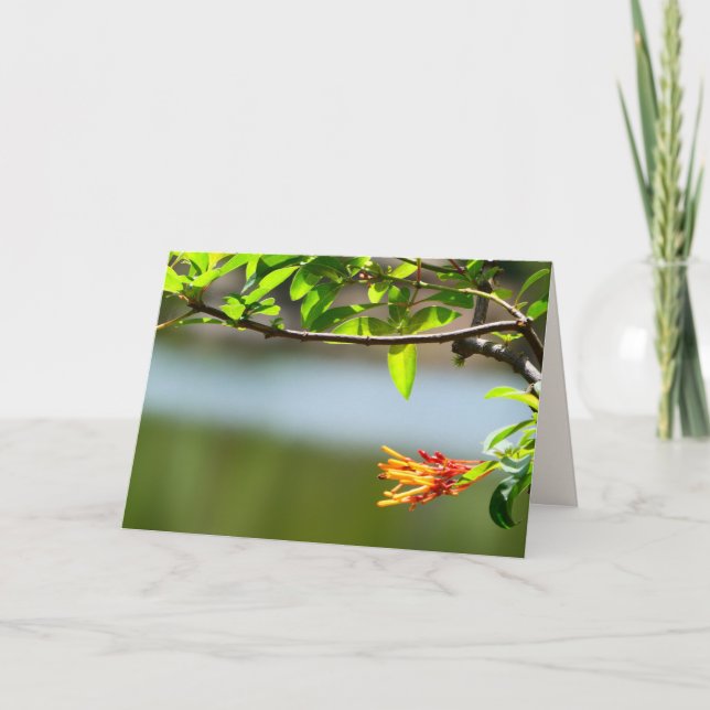Tarjeta Rama de árbol y flor Naranja, interior en blanco (Anverso)