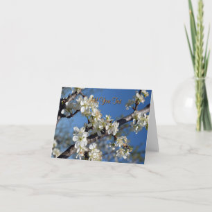 Tarjeta Rama de ciruela blanca floreciente en primavera