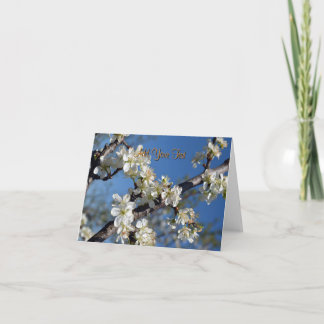Tarjeta Rama de ciruelo floreciendo en blanco en primavera