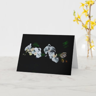 Tarjeta Rama de orquídeas blancas