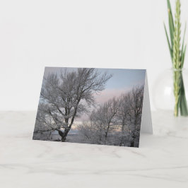 Tarjeta Ramas cubiertas de nieve