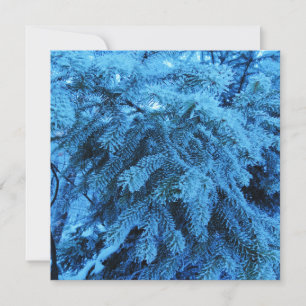 Tarjeta Ramas de abeto cubiertas de nieve y cristales de e
