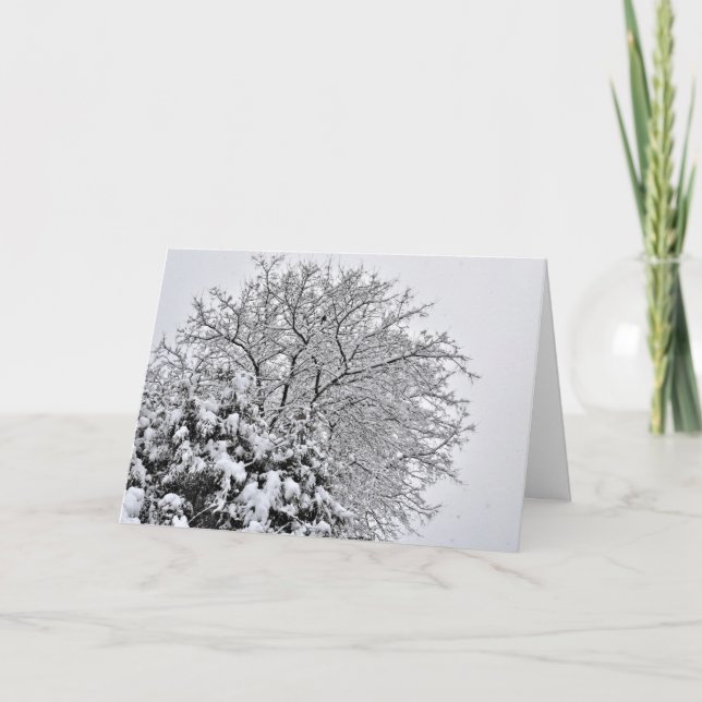 Tarjeta Ramas de árbol de nieve (Anverso)