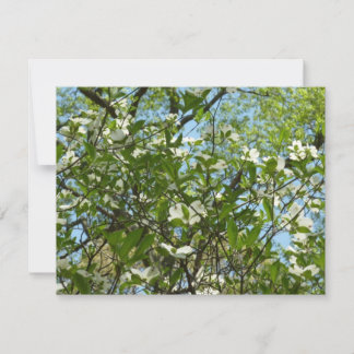 Tarjeta Ramas de Dogwood florecen árboles de primavera