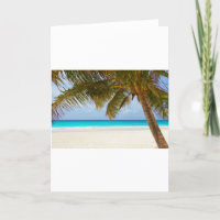 ramas de palmera de playa árbol isla tropical aren