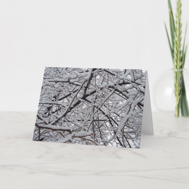 Tarjeta Ramas Nevado (Anverso)