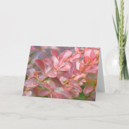 Tarjeta Ramas rosadas de bonito