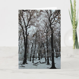 Tarjeta Ramas y árboles