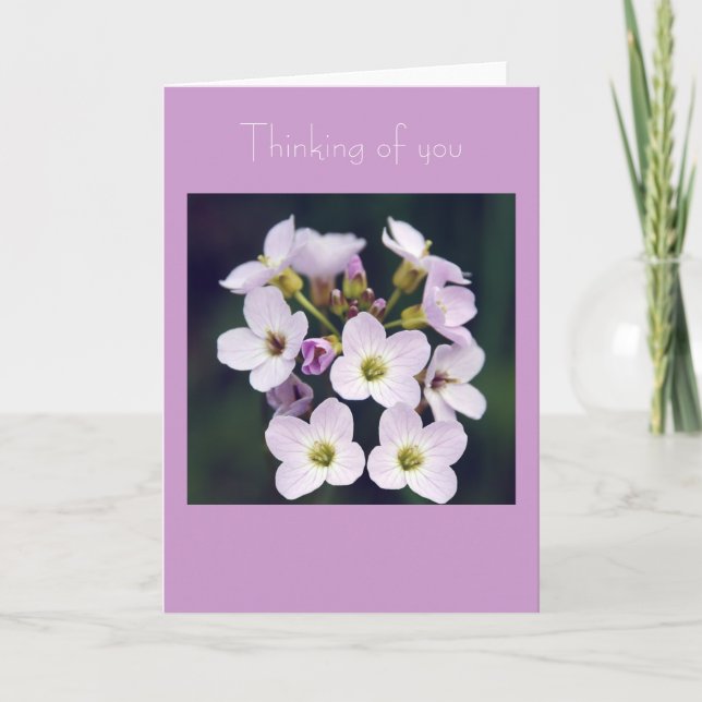 Tarjeta Ramillete de la primavera (Anverso)