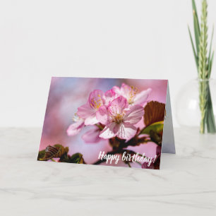 Tarjeta Ramo de impresionantes flores de sakura de colores