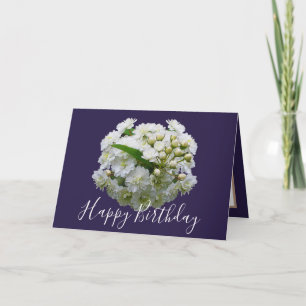 Tarjeta Ramo Floral Chic Spirea Blanca Cumpleaños Floral