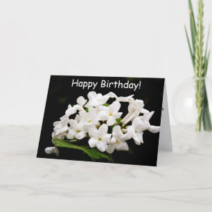 Tarjeta Ramos de flores blancas