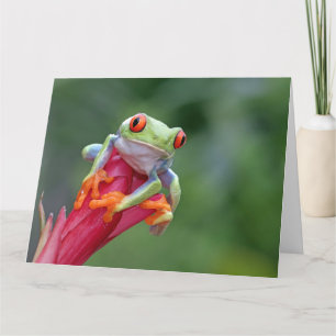 Tarjeta Rana de texto personalizado