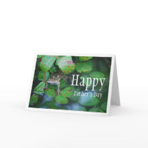 Rana en retrato de estanque leafy