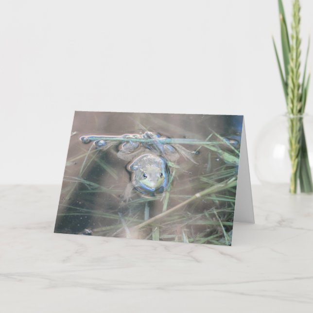 Tarjeta Rana/Pray (Anverso)