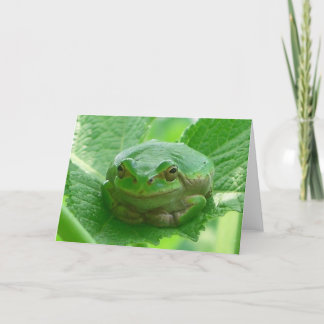 Tarjeta Rana sonriente verde - ascendente cercano