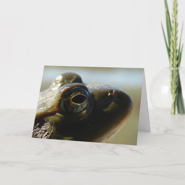 Tarjeta Rana toro (Anverso)