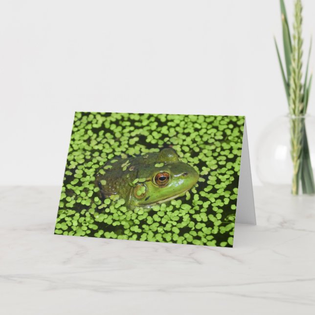 Tarjeta Rana verde (Anverso)