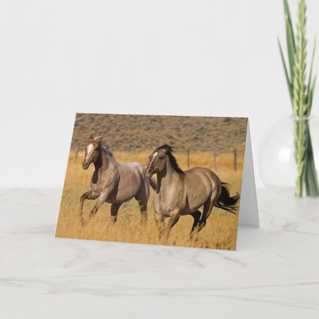 Tarjeta Ranch Living in the Ponderosa Ranch (Anverso)