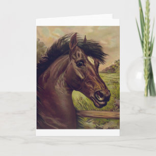 Tarjeta rancho de cría de caballos paseo deportivo ecuestr