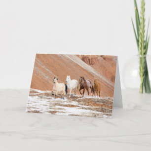 Tarjeta Rancho Hideout con pequeño rebaño de caballos en l