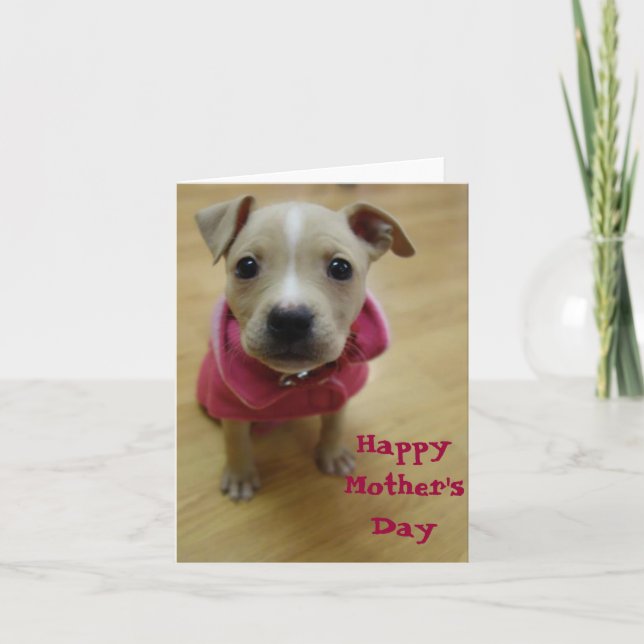 Tarjeta Ranúnculo (Anverso)