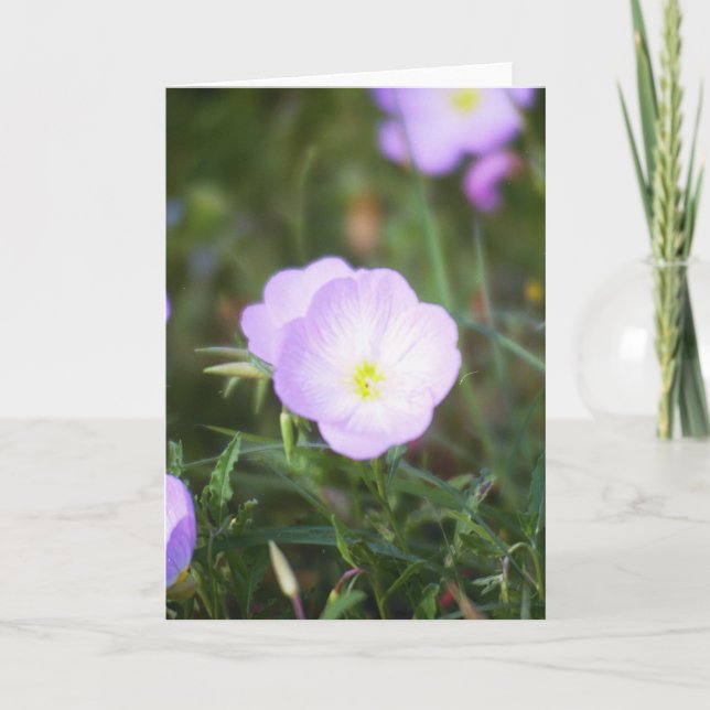 Tarjeta Ranúnculos (Anverso)