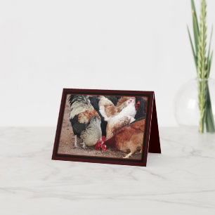 Tarjeta Rasguño del pollo