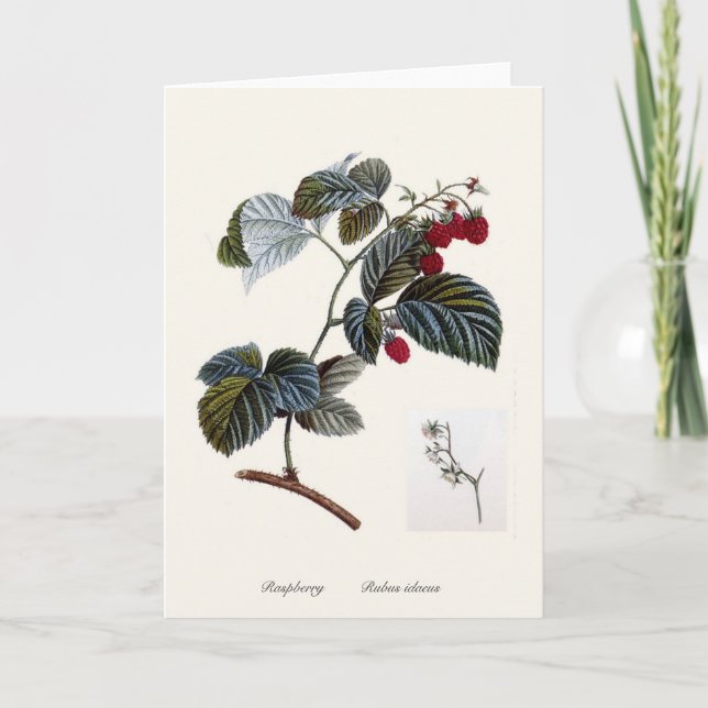 Tarjeta Raspberry (Anverso)