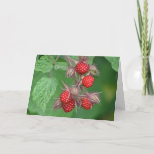 Tarjeta Raspberry Notecard