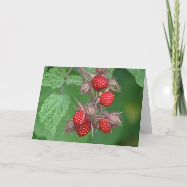 Tarjeta Raspberry Notecard (Anverso)