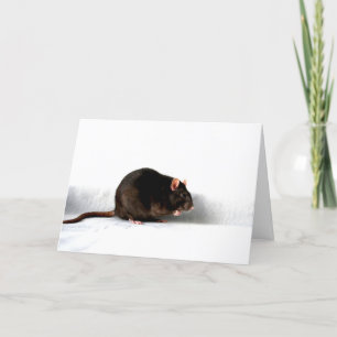 Tarjeta Rat gccna