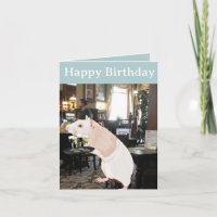 Rat Waiter surreal Editable