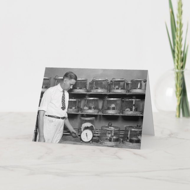 Tarjeta Rata gorda, los años 20 (Anverso)