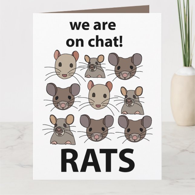Tarjeta Ratas Animal Que Somos En Chat Ratas Divertidas (Anverso)