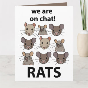 Tarjeta Ratas Animal Que Somos En Chat Ratas Divertidas