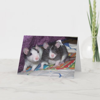 Tarjeta Ratas bebés ~Tarjeta