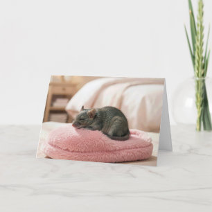 Tarjeta Ratón de cumpleaños durmiendo en una zapatilla ros