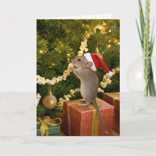 Tarjeta Ratón de Navidad Comiendo Rositas de Maíz en el Ár