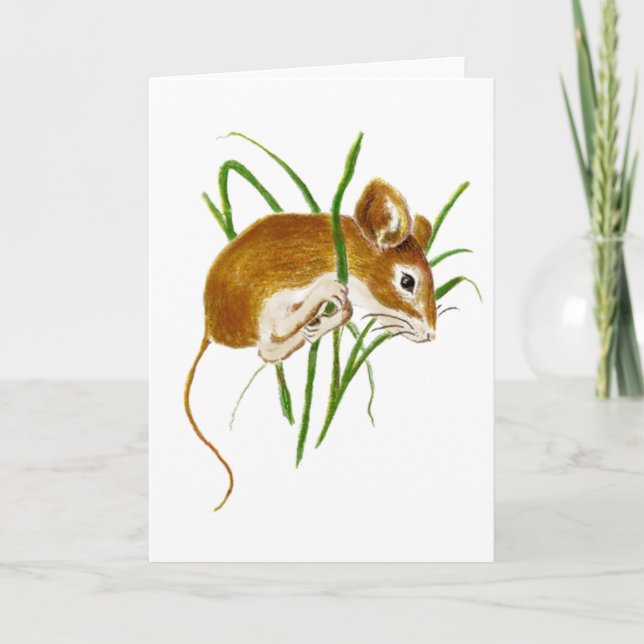 Tarjeta Ratones Cubiertos, Naturaleza animal acuática del  (Anverso)