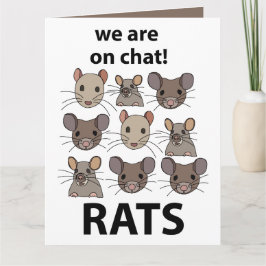 Tarjeta Rats Animal Estamos En Chat Rats Gratis