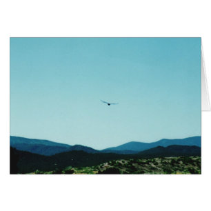 Tarjeta Raven Mountains