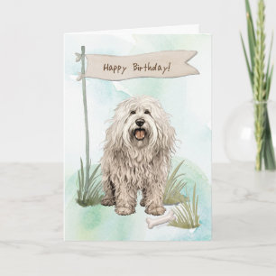 Tarjeta Raza de perro de Komondor al aire libre bajo Rótul